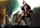 Wonder Woman VS Hydra Collector Edition (Prototype Shown) View 5