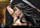 Wonder Woman VS Hydra Collector Edition (Prototype Shown) View 8