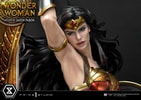 Wonder Woman VS Hydra Collector Edition (Prototype Shown) View 9