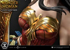 Wonder Woman VS Hydra Collector Edition (Prototype Shown) View 13