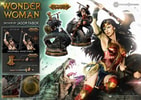 Wonder Woman VS Hydra Exclusive Edition (Prototype Shown) View 12
