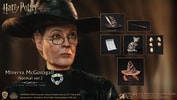Minerva McGonagall Collector Edition (Prototype Shown) View 1