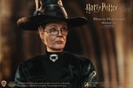 Minerva McGonagall Collector Edition (Prototype Shown) View 6