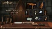 Minerva McGonagall (Desk Pack) Collector Edition (Prototype Shown) View 3