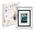 Harry Potter and the Order of Phoenix Silver Coin