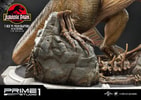 T-Rex Vs Velociraptors in the Rotunda
