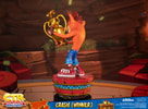 Crash (Winner) (Standard Edition) (Prototype Shown) View 21