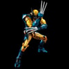 Wolverine View 1