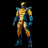 Wolverine View 2