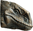 Dewback Magnet