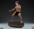 Jean-Claude Van Damme: Shotokan Tribute