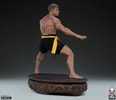 Jean-Claude Van Damme: Shotokan Tribute