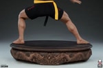 Jean-Claude Van Damme: Shotokan Tribute Collector Edition - Prototype Shown