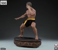 Jean-Claude Van Damme: Shotokan Autograph Edition Tribute