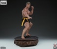 Jean-Claude Van Damme: Shotokan Autograph Edition Tribute