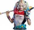Harley Quinn (Prototype Shown) View 11