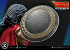 Wonder Woman (Rebirth Edition)