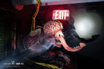 Licker- Prototype Shown