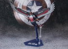 Falcon View 6