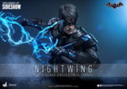 Nightwing (Prototype Shown) View 1