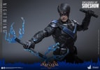 Nightwing (Prototype Shown) View 13