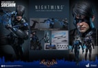 Nightwing (Prototype Shown) View 20