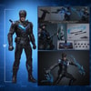 Nightwing (Prototype Shown) View 2