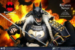 Ninja Batman 2.0