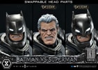Batman Versus Superman (Deluxe Version)