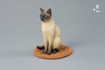 Siamese Cat- Prototype Shown