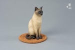Siamese Cat- Prototype Shown
