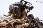 Yechawood (Manas Edition) Collector Edition (Prototype Shown) View 8