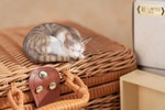 Sleeping Tabby Cat View 11