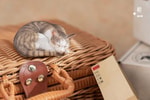 Sleeping Tabby Cat View 12