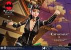 Catwoman Collector Edition - Prototype Shown