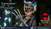 Catwoman Collector Edition - Prototype Shown