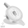 The Flash Emblem 1oz Silver Coin