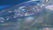 Aurene Dragon