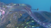 Aurene Dragon