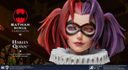 Harley Quinn Collector Edition - Prototype Shown