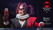 Harley Quinn (Deluxe Version)- Prototype Shown