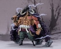 Kaido King of the Beasts (Extra Battle)