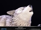 The Great Grey Wolf Sif