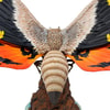 Mothra