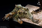 Atrosius