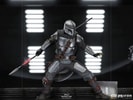 The Mandalorian
