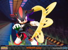 Shadow: Chaos Control- Prototype Shown