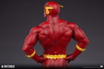 The Flash Collector Edition (Prototype Shown) View 14