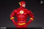 The Flash Exclusive Edition (Prototype Shown) View 13