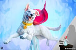 Krypto (Prototype Shown) View 1
